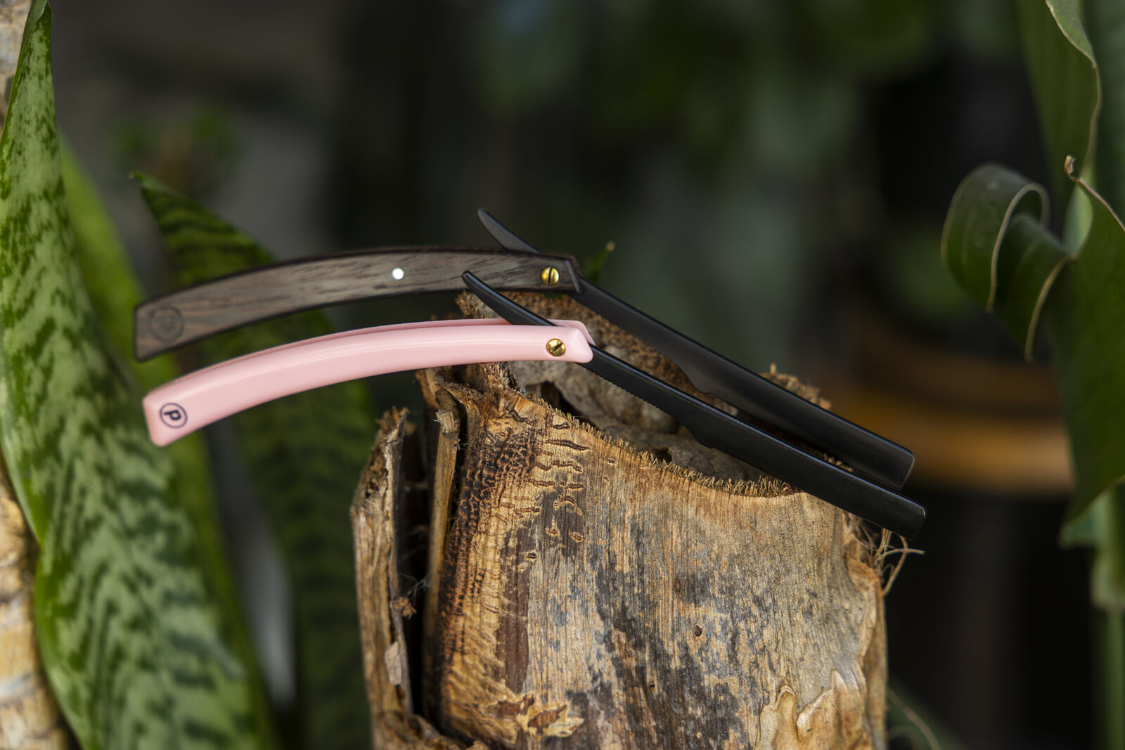 Pink and wenge Pony Razors among plants